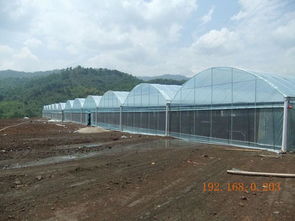 選擇睿農溫室大棚設備 廣西大棚配件廠家的專業優勢與價格指南