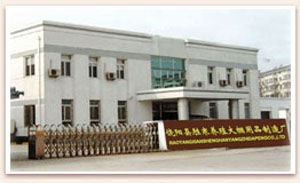 農業溫室與現代化農業用具的發展——以饒陽縣勝寒養殖大棚用品制造廠為例