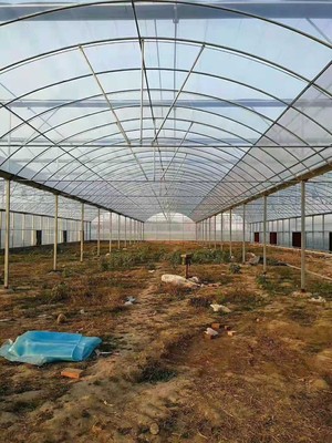 威海地區(qū)搭建一畝塑料薄膜溫室大棚的成本分析與預(yù)算指南