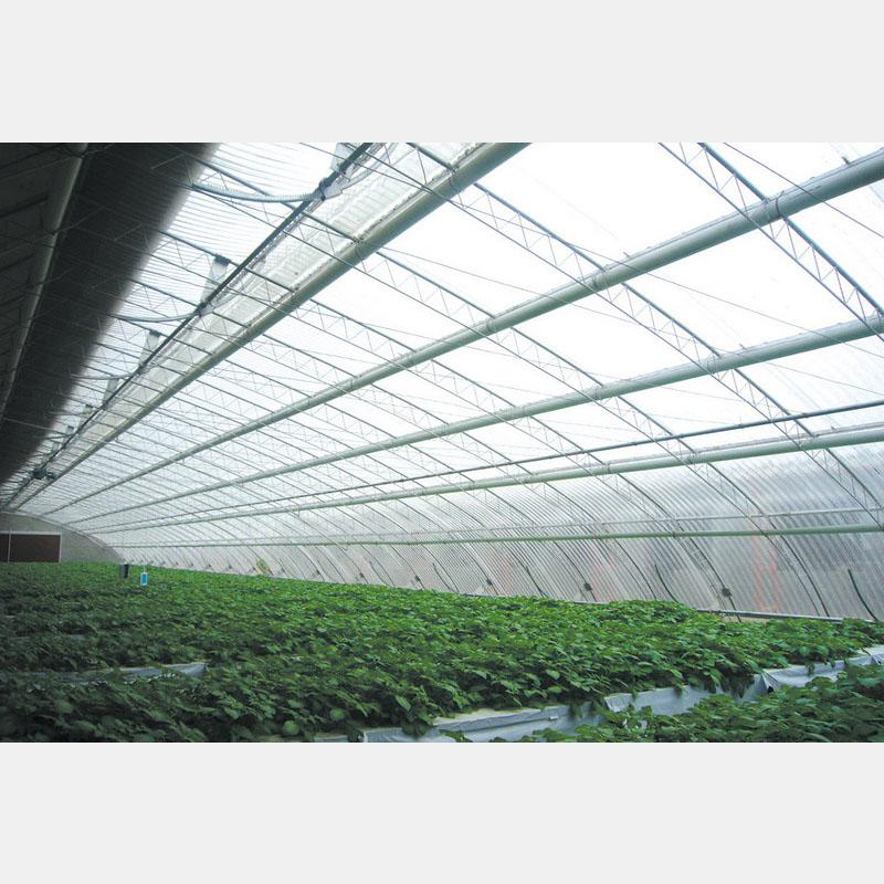 專業(yè)構(gòu)筑，智慧生長(zhǎng) 盛騰溫室引領(lǐng)蔬菜大棚現(xiàn)代化建造新風(fēng)尚