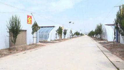 科技賦能，高效發(fā)展 本市現(xiàn)代農(nóng)業(yè)溫室建設(shè)穩(wěn)步推進(jìn)
