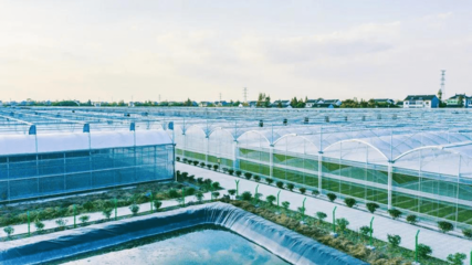 智慧農業賦能美麗城鎮 平湖農開的大棚材料與配套設施設計實踐