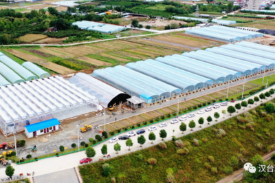 漢臺農業溫室項目 科技賦能現代農業 繪就鄉村振興新畫卷