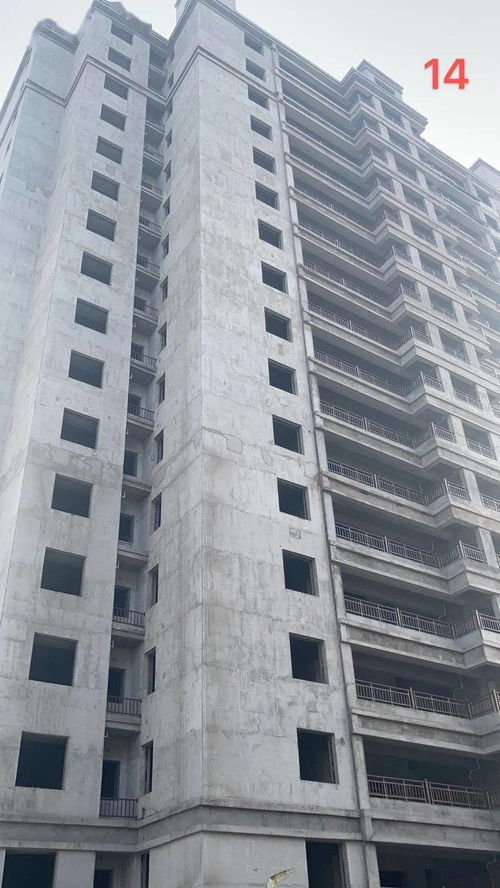 睢寧金泰工程進度 精雕細琢, 家 速趕來.....